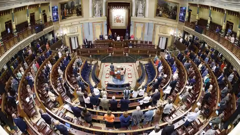 Minuto de silencio en el Congreso de los Diputados (Foto Congreso de los Diputados)