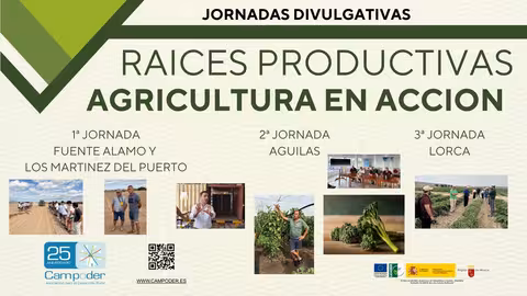 Cartel de las jornadas divulgativas 'Ra&iacute;ces Productivas'