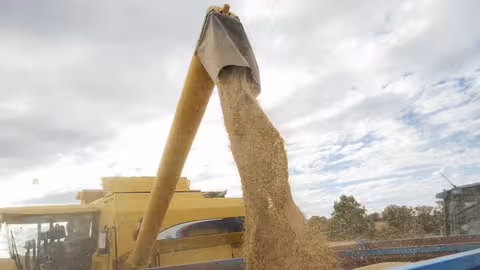 Recolecci&oacute;n de cereal (Foto Asaja Castilla y Le&oacute;n)