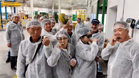 Productores coreanos visitan Melones El Abuelo con Proexport (Foto Proexport)