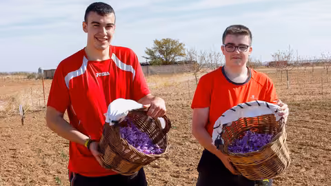 J&oacute;venes agricultores (Foto UPA)