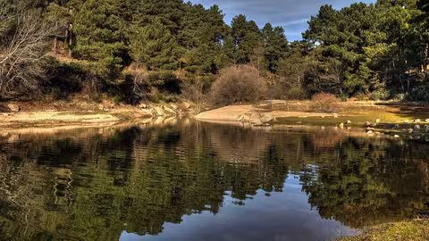 Remanso en el r&iacute;o Tajo (Foto Miteco)