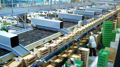 Industria de procesamiento de productos hortofrut&iacute;colas en fresco (Foto Fepex)
