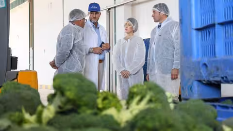 Visita realizada a la una empresa agr&iacute;cola para informar sobre el Procedimiento de Evaluaci&oacute;n, Acreditaci&oacute;n y Registro de Competencias Profesionales (Foto Ayuntamiento de Lorca)