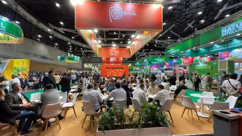 Participaci&oacute;n del mango peruano en una feria internacional (Foto F. Seva)