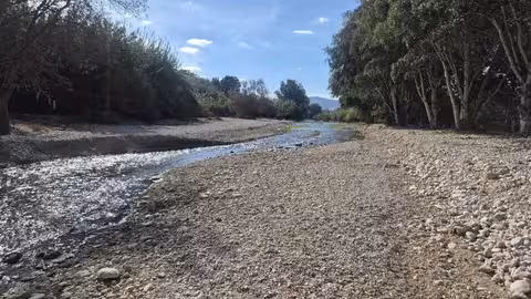 Finalizaci&oacute;n de los trabajos de emergencia en el curso del r&iacute;o Argos (Foto CHS)