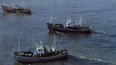 Buques de pesca del Cant&aacute;brico (Foto MAPA)