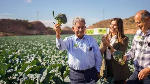 El embajador del br&oacute;coli 2025, Miguel &Aacute;ngel Revilla, realiza el primer corte de la temporada (Foto +Br&oacute;coli)