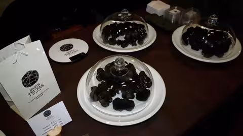 Mecatrufas de Soria 2015 (Foto Instituto Europeo de Micolog&iacute;a) Archivo