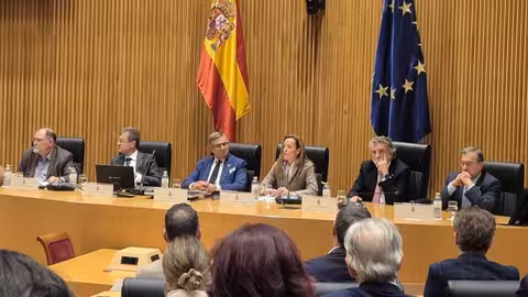 Jornada en el Congreso de los Diputados del Foro Ganadero-C&aacute;rnico (Foto Provacuno en X)