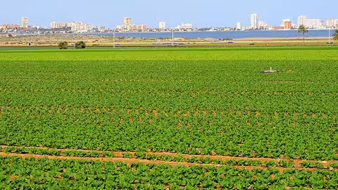 Red lisim&eacute;trica del Campo de Cartagena (Foto CARM)