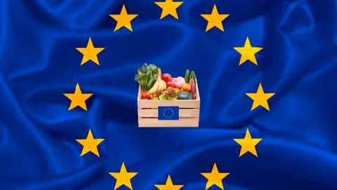 Bandera de la UE con caja de frutas y hortalizas (Imagen Asaja)