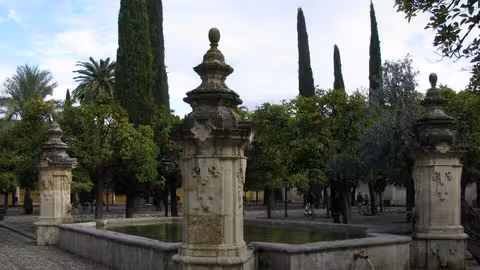 Patio de los Naranjos de la Mezquita de C&oacute;rdoba (Foto IVIA Generalitat Valenciana)