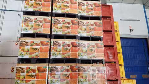 Surinver frutas y hortalizas (Foto Generalitat Valenciana)
