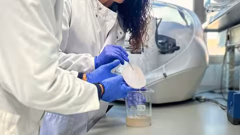 Estudio sobre la kombucha (Foto Cebas-CSIC)