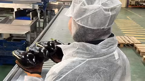 Inspectora de control de calidad (Foto Hortyfruta)