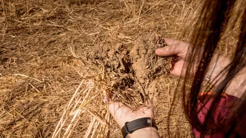 Proyecto &lsquo;Regenerative Innovation Portfolio: Navarra 360&ordm;&rsquo;