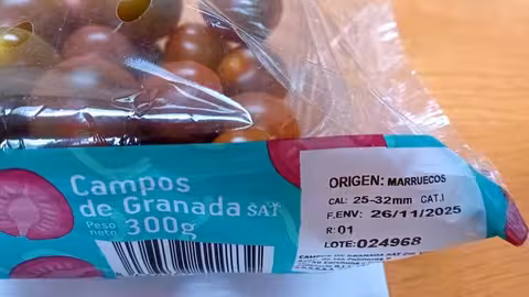 Tomate 'Campos de Granada' producido en Marruecos (Foto COAG)