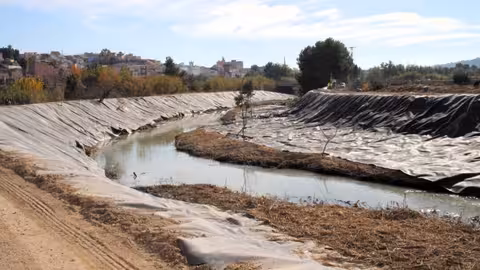 Trabajos de recuperaci&oacute;n del bosque de ribera y eliminaci&oacute;n de ca&ntilde;as en el tramo del r&iacute;o Segura comprendido entre Ceut&iacute; y la confluencia con el r&iacute;o Mundo (Foto CHS)