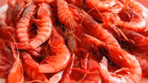 Gamba roja (Foto MAPA)