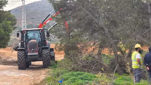 Maquinaria operando sobre el estrato arb&oacute;reo en la Colada de Cantarranas, cerca de Los Belones en Cartagena (Foto CARM)