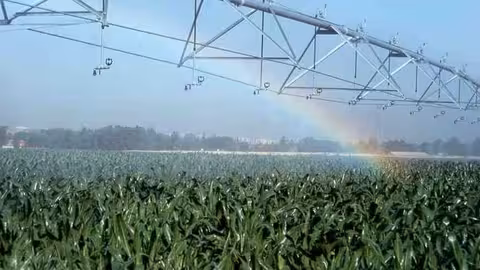 Regad&iacute;o con arcoiris (Foto MAPA)