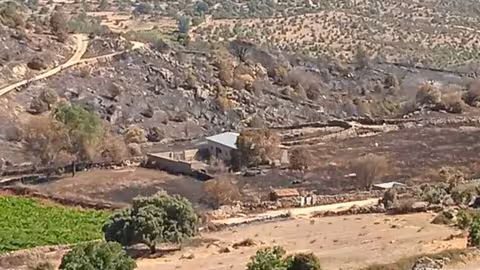 Zona rural afectada por incendio (Foto Asaja &Aacute;vila)