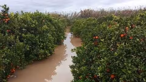 Finca anegada por las lluvias (Foto La Uni&oacute;)