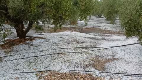 Da&ntilde;os por granizo (Foto La Uni&oacute;)