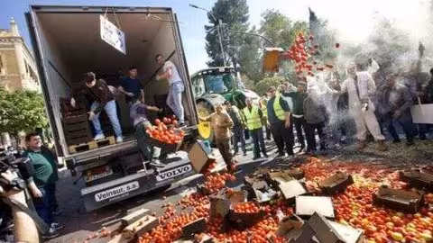 Descarga de tomates en una protesta ante la Delegaci&oacute;n del Gobierno (Foto Asaja Murcia)