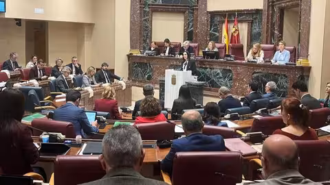Rubira durante su intervenci&oacute;n ante la Asamblea Regional (Foto CARM)