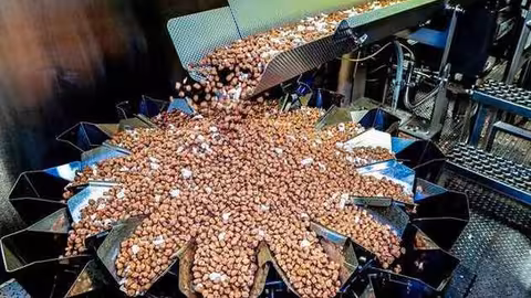 F&aacute;brica de alimentos para animales (Foto UGT FICA)