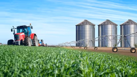 Concepto de producci&oacute;n agr&iacute;cola y alimentaria