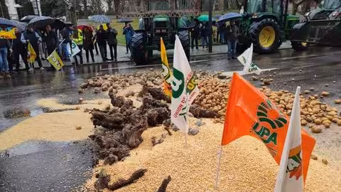Cereales y patatas por los suelos protesta Super Jueves (Foto UPA CyL)