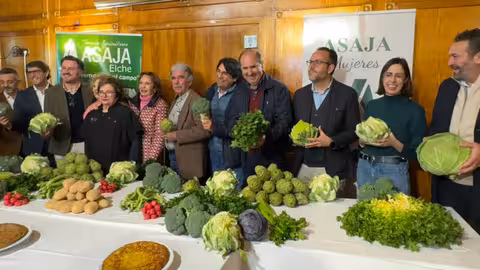 Campa&ntilde;a de hortalizas de invierno (Foto Asaja Alicante)