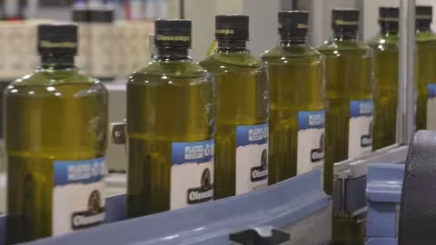 L&iacute;nea actual de envasado de aceite de oliva (Foto Oleoestepa)