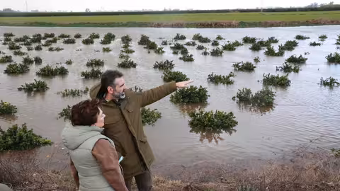 Fern&aacute;ndez Pacheco visita fincas anngadas en Cantillana (Foto Junta de Andaluc&iacute;a)