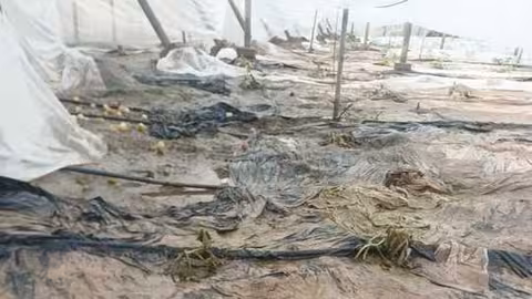 Invernaderos anegados en Adra (Foto COAG Almer&iacute;a)