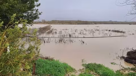 Cultivo de esp&aacute;rragos inundados en Hu&eacute;tor T&aacute;jar (Foto Asaja Granada)