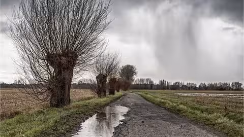 Da&ntilde;os el cultivos tras el tren de borrascas (Foto La Uni&oacute;n Extremadura)