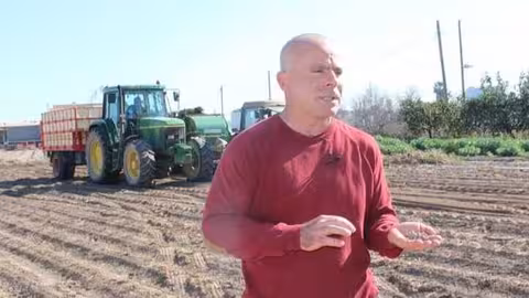 El secretario general de La Uni&oacute;, Carles Peris, en un cultivo de chufa (Foto La Uni&oacute;)