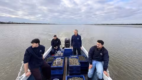 Suelta almejas finas en el r&iacute;o Piedras (Foto Ifapa)
