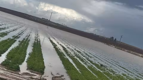 Inundaciones por el tren de borrascas en Andaluc&iacute;a (Foto Agroseguro)