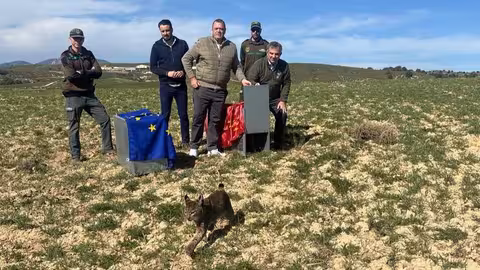 V&aacute;zquez libera dos ejemplares de lince ib&eacute;rico (Foto CARM)