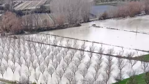 Campos inundados por el tren de borrascas (Foto COAG Andaluc&iacute;a)