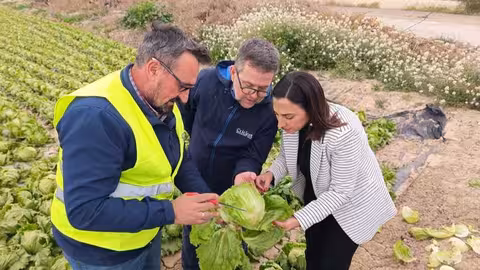 Rubira visita a los cultivos afectados en el municipio de Lorca (Foto CARM)