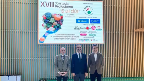 Fern&aacute;ndez-Pacheco en las Jornadas '5 al d&iacute;a' (Foto Junta de Andaluc&iacute;a)