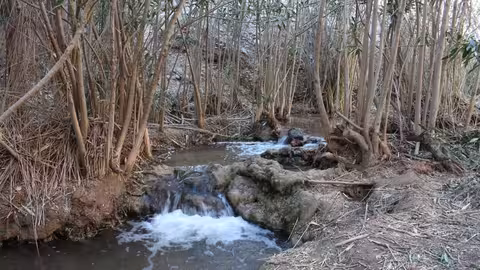 R&iacute;o Ch&iacute;camo (Foto CHS)