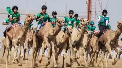 Carreras de camellos (Foto COAG)