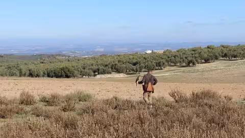 Cetrer&iacute;a (Foto Asociaci&oacute;n Espa&ntilde;ola de cetrer&iacute;a y conservaci&oacute;n de Aves Rapaces AECCA)